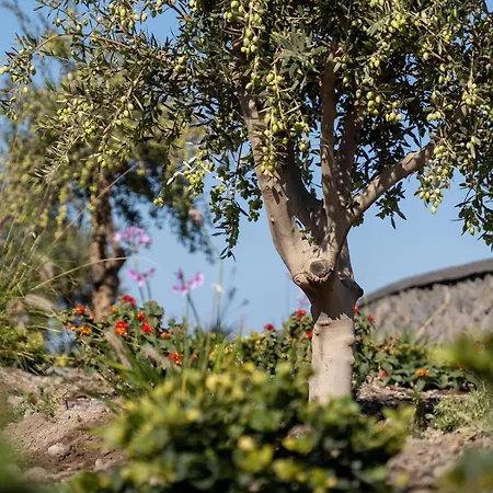 Hébergement de vacances Bay View Residences Santorini Akrotírion