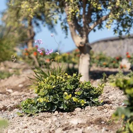 Bay View Residences Santorini Akrotírion